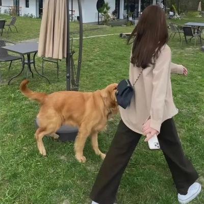 乐队的海边