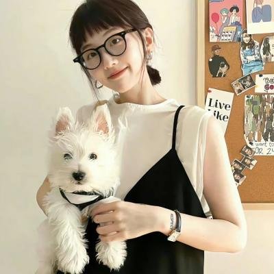 我家娶了花木兰